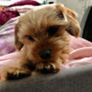 Meet your Posher, Leah